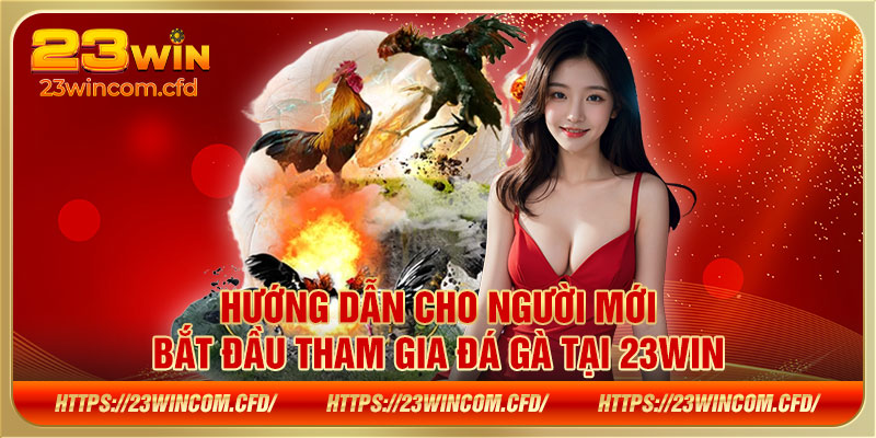 Hướng dẫn cho người mới bắt đầu tham gia đá gà tại 23WIN