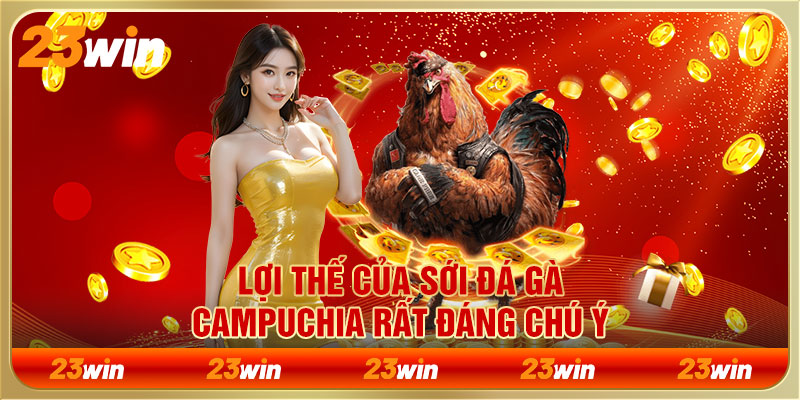 Lợi thế của sới đá gà Campuchia rất đáng chú ý