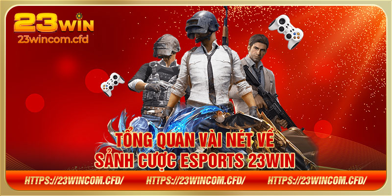 Tổng quan vài nét về sảnh cược Esports 23WIN