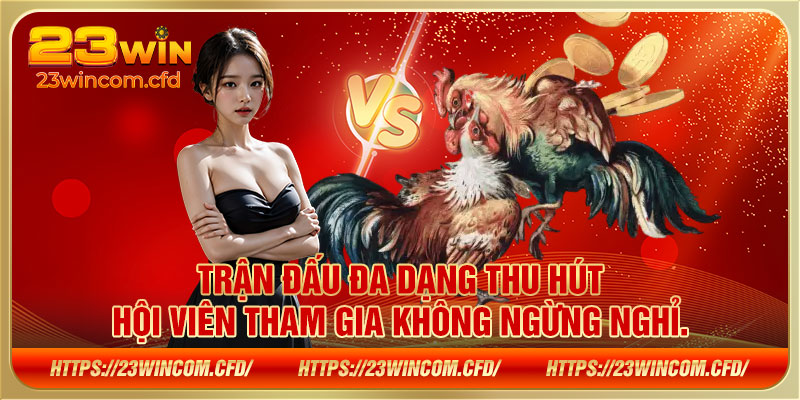 Trận đấu đa dạng thu hút hội viên tham gia không ngừng nghỉ.