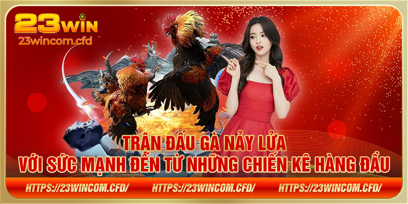 Trận đấu gà nảy lửa với sức mạnh đến từ những chiến kê hàng đầu.