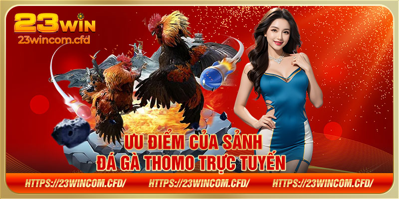 Ưu điểm của sảnh đá gà Thomo trực tuyến 